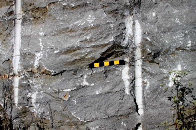 fig-3a-roadcut-exposure-of-crinoidal-grainstone.jpg fig-3a-roadcut-exposure-of-crinoidal-grainstone.jpg