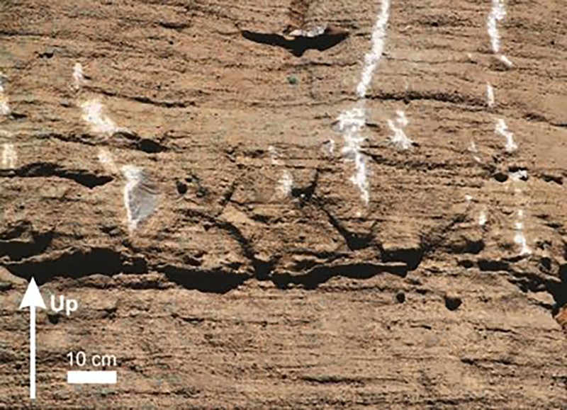 fig-3b-planar-lamination-in-crinoidal-grainstone fig-3b-planar-lamination-in-crinoidal-grainstone