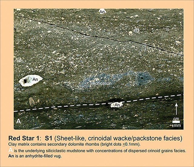 fig-5-polished-slab-of-sheet-like-pack-wackestone fig-5-polished-slab-of-sheet-like-pack-wackestone