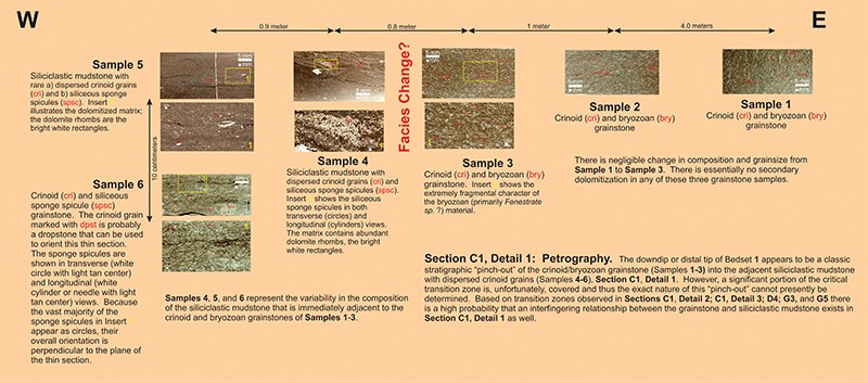 section-c1-detail1-facies-change-petrography section-c1-detail1-facies-change-petrography