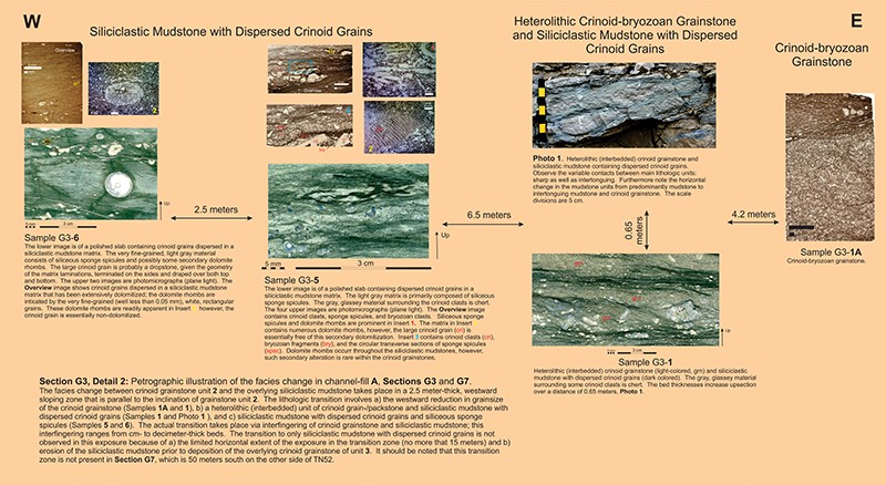 section-g3-detail2-facies-change-petrography section-g3-detail2-facies-change-petrography