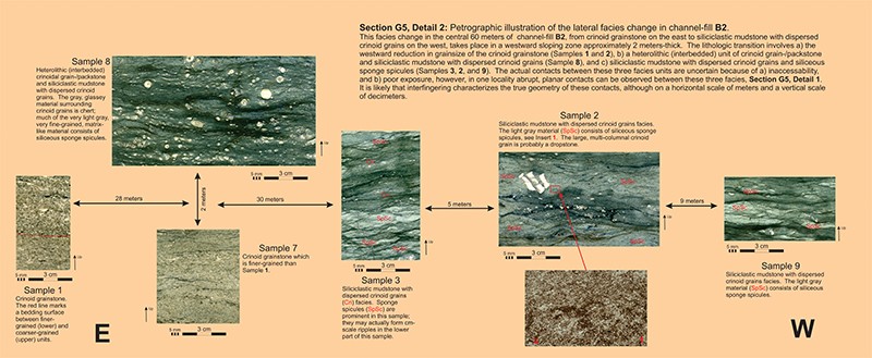 section-g5-detail2 section-g5-detail2