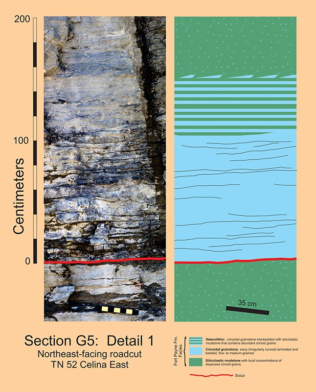 section-g5-detail1 section-g5-detail1