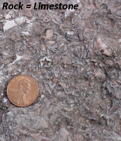 State rock: limestone State rock: limestone