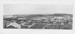 Image of Bulletin 31, Plate 16