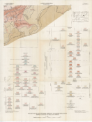 Image of Bulletin 58, Part 1, Plate 11, Asheville