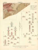 Image of Bulletin 58, Part 2, Plate 11, Asheville