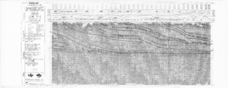 Image of Bulletin 78, Plate 3B