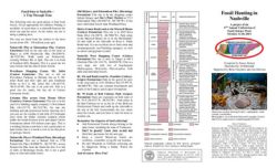 Cover image of Public Info Series 3