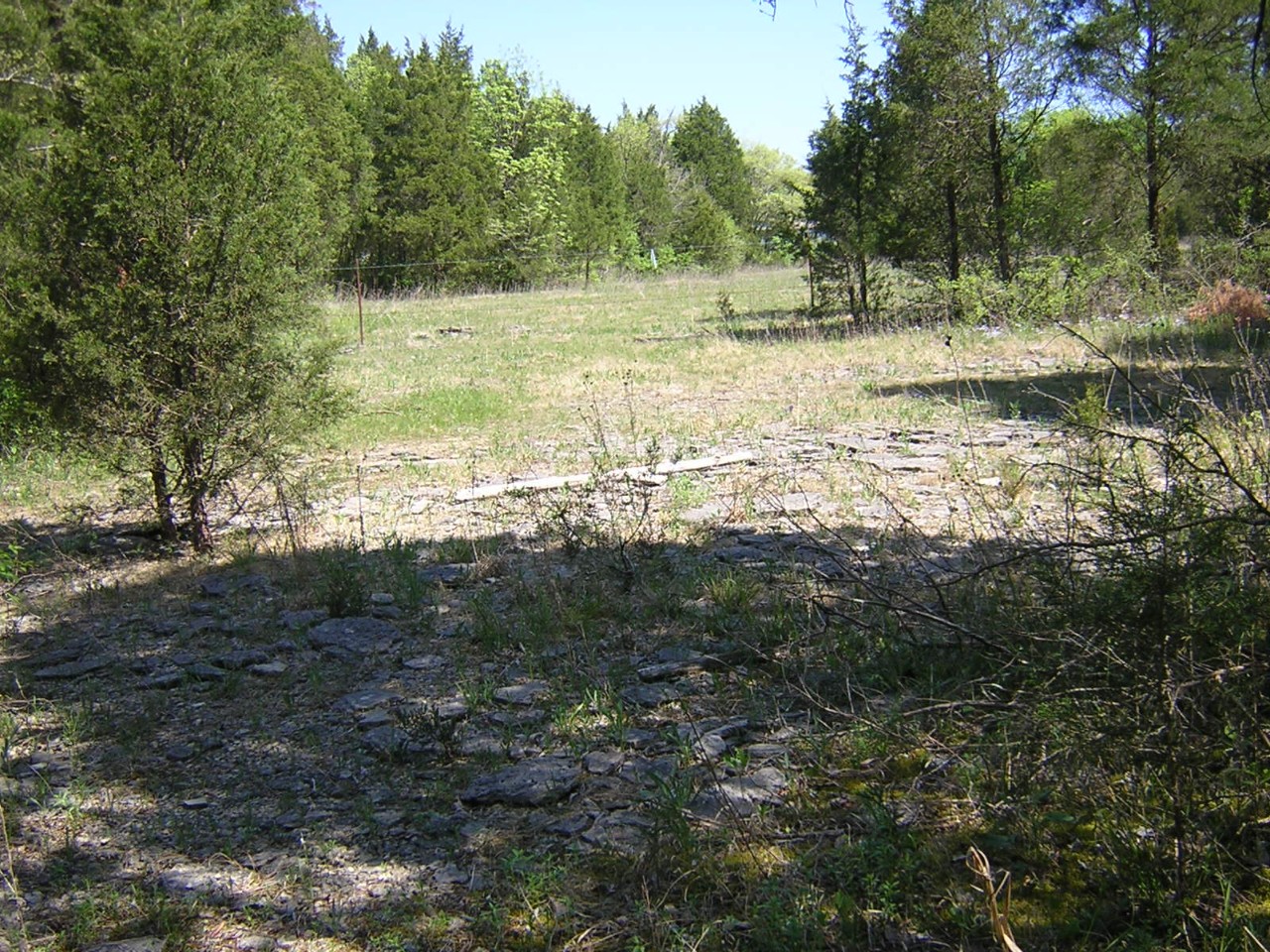 Open cedar glade at Mount View with cedar trees and exposed bedrock