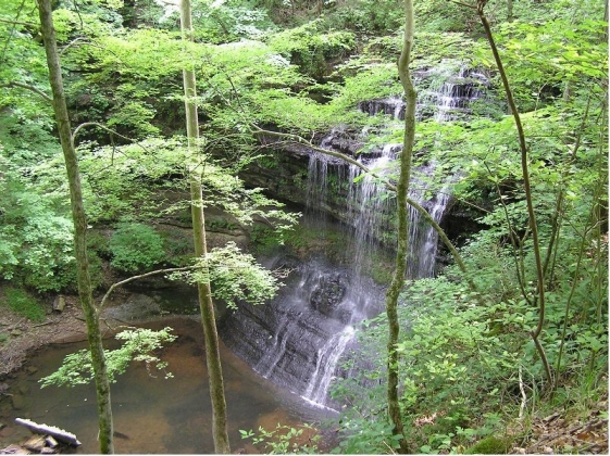 A wide waterfall pours into a pull below