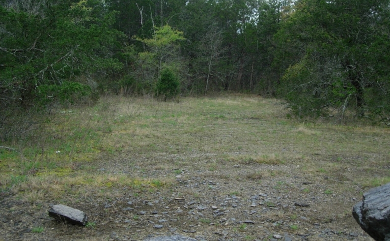 Open cedar glade habitat with exposed rock and cedar trees