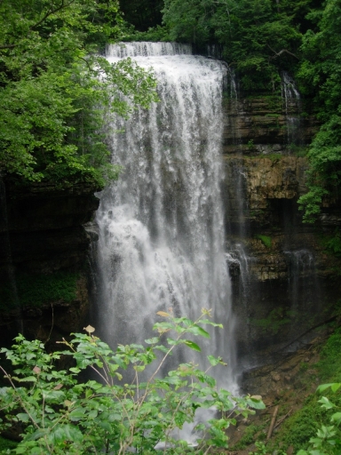 A large waterfall surrounded by trees