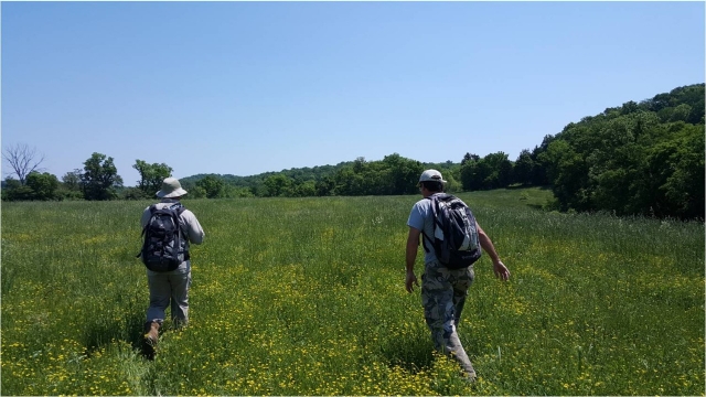 Two people walk through an open grassland