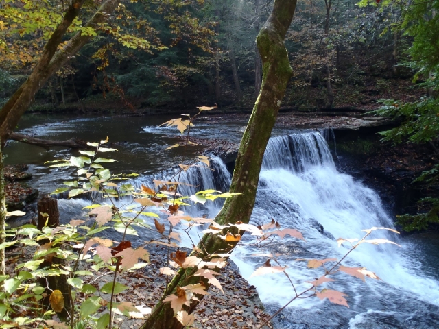 A small waterfall cascades over a ledge in the middle of a river surrounded by trees
