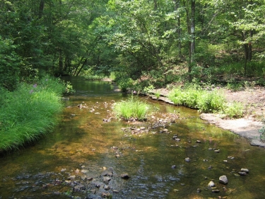 A small rocky creek with short grasses growing along the edge.