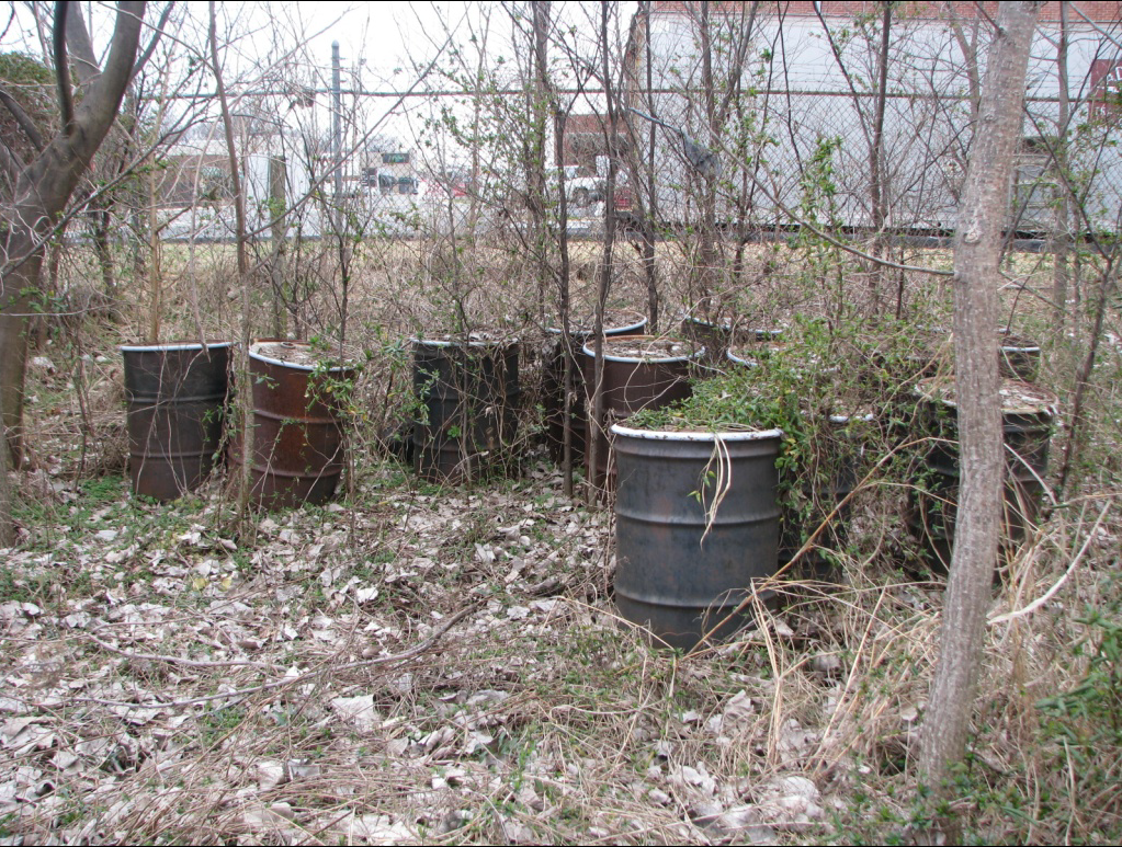 Drums at the Creotox site are surrounded by trees and dead leaves on the fenced property. Twelve rusted drums storing unlabelled waste in an overgrown, fenced-in lot, featuring vines, leafless trees, and dead leaves on the forest floor.