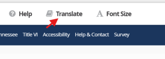 Picture of Translate Button at Bottom of Page