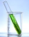 Bright green algae in a test tube Bright green algae in a test tube