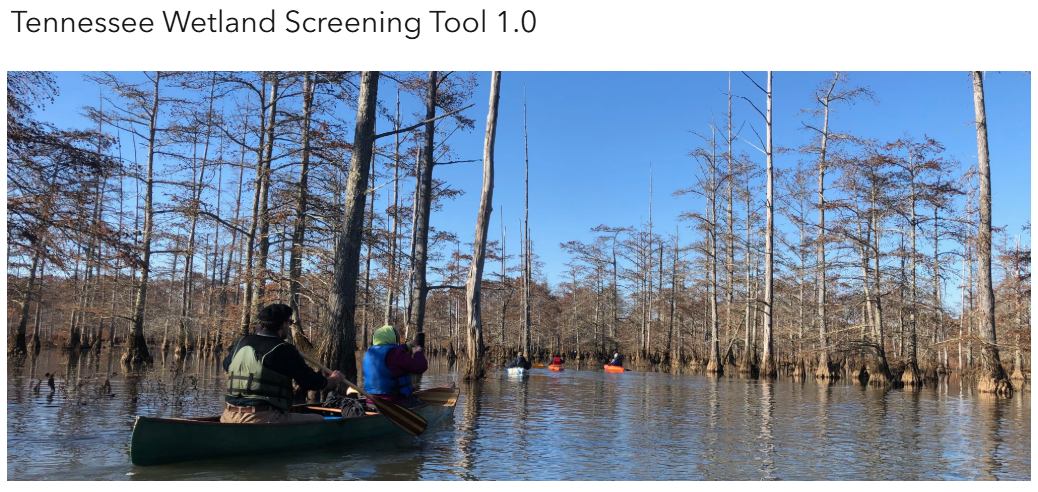 Wetland Screening Tool