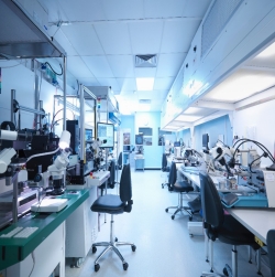 Picture of Lab Picture of Lab