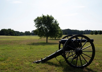 Parkers Crossroads Battlefield Image of a cannon in a field with a tree in the background at Parker's Crossroads, TN