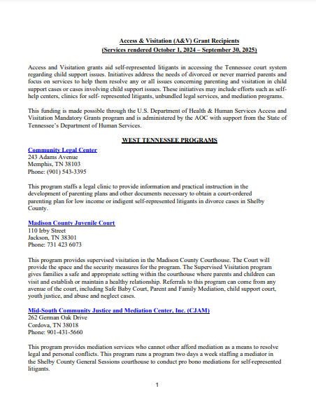 Child Support Access and Visitation Grant Partners Document Photo