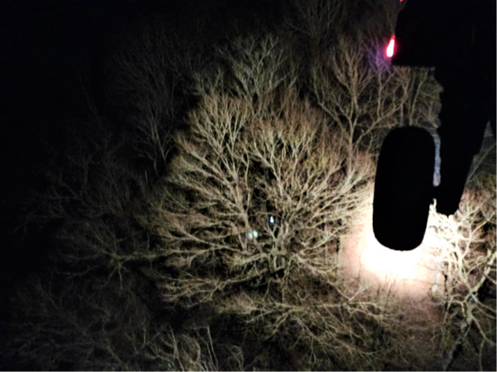 A Tennessee Army National Guard Blackhawk helicopter locates the fire and strobe light signals set by park rangers with the Great Smoky Mountain National Park during the rescue of a hiker near the Silers Bald Shelter along the Appalachian Trail in the early morning of April 5. (Submitted photo) A Tennessee Army National Guard Blackhawk helicopter locates the fire and strobe light signals set by park rangers with the Great Smoky Mountain National Park during the rescue of a hiker near the Silers Bald Shelter along the Appalachian Trail in the early morning of April 5. (Submitted photo)