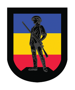 The Tennessee National Guard's 117th Regiment Training Institute logo - A black shield with a blue, yellow and red band across it. A black silhouette of a minuteman is in the center of the logo. 