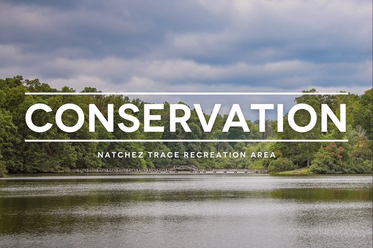 Conservation