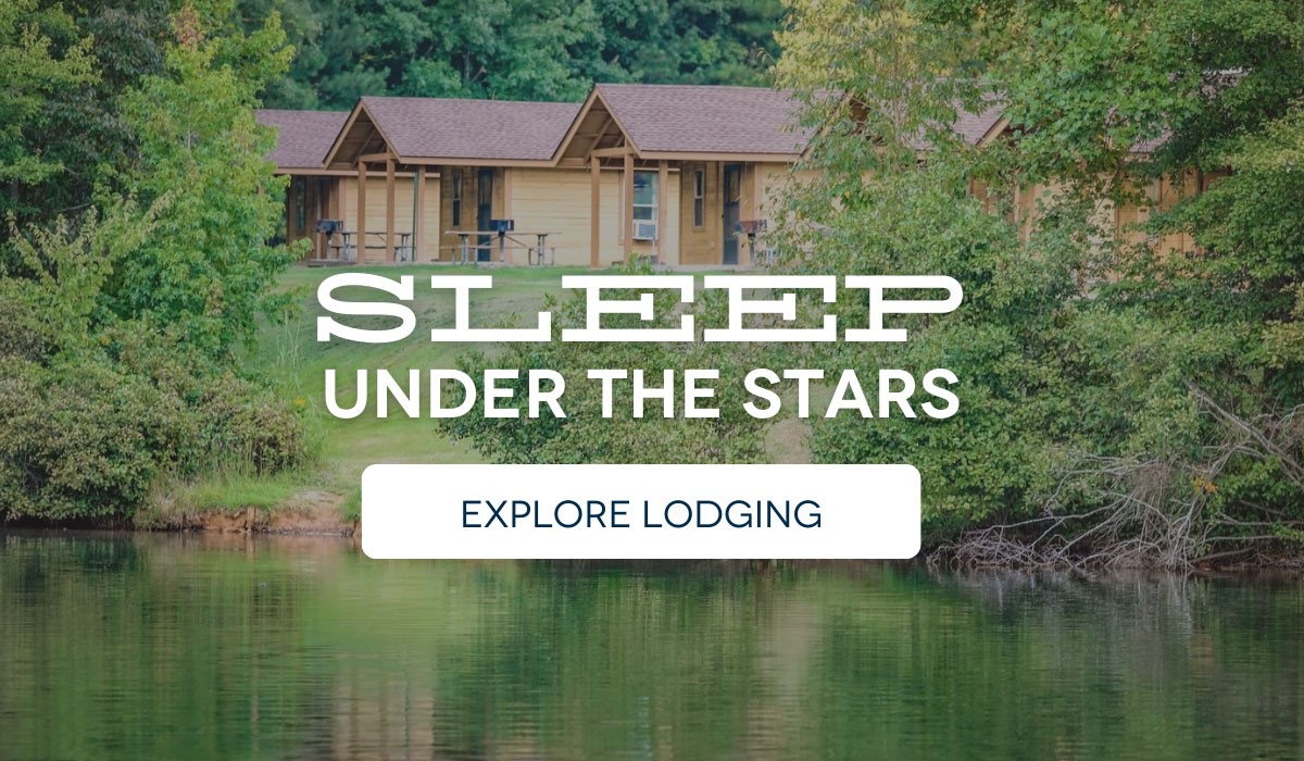 Sleep under the stars. Explore lodging. Sleep under the stars. Explore lodging.