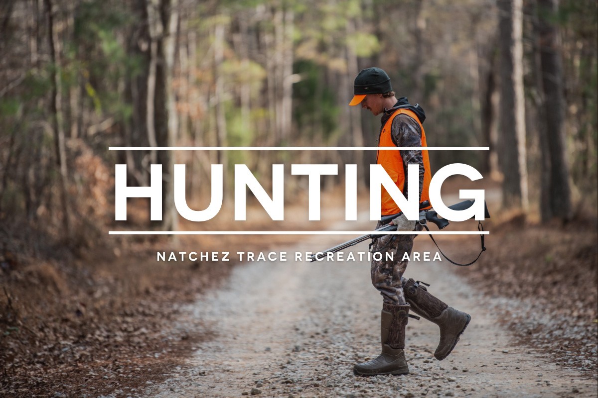 Hunting