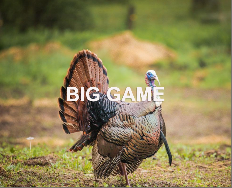 Big Game at Natchez Trace Big Game at Natchez Trace
