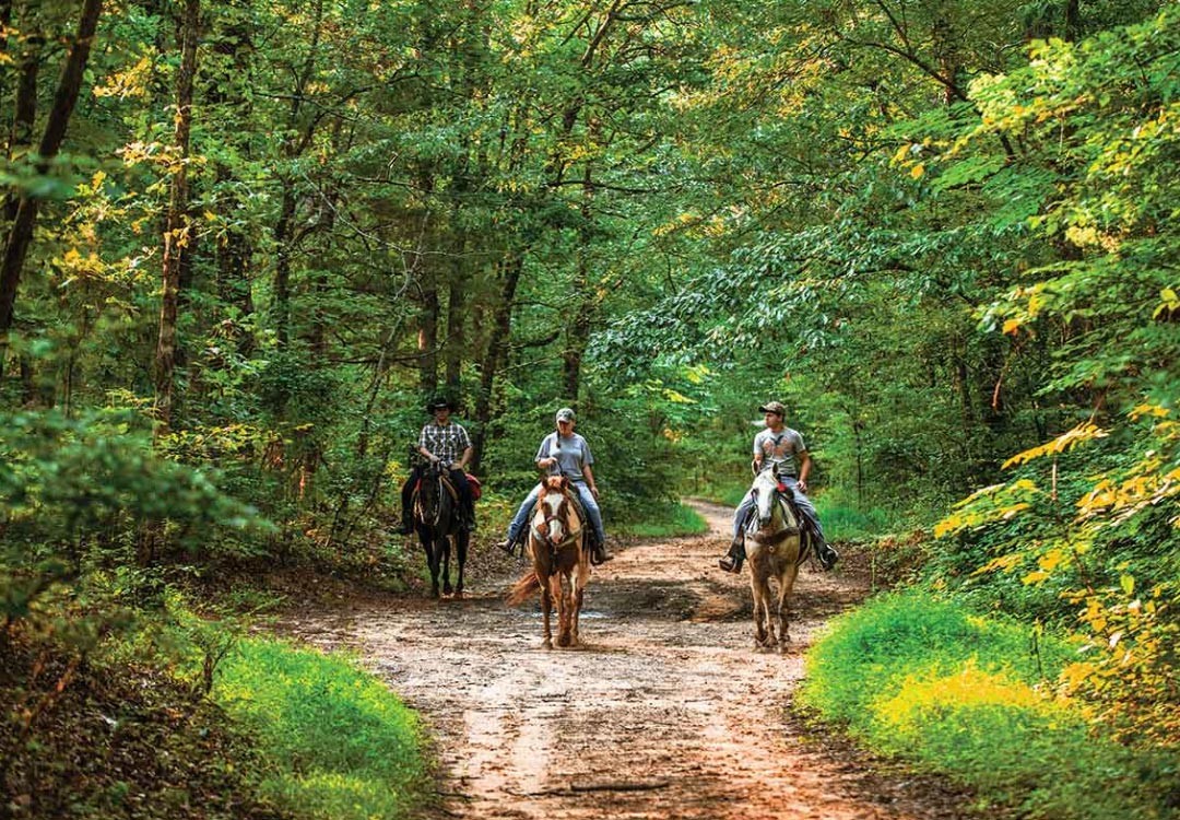Image of people enjoying horseback riding at Natchez Trace Ride