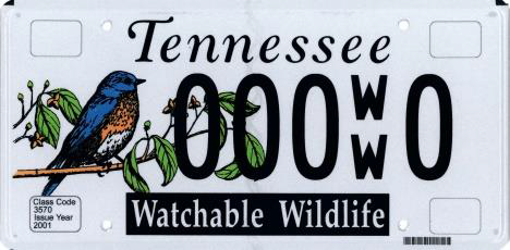 Watchable Wildlife Watchable Wildlife