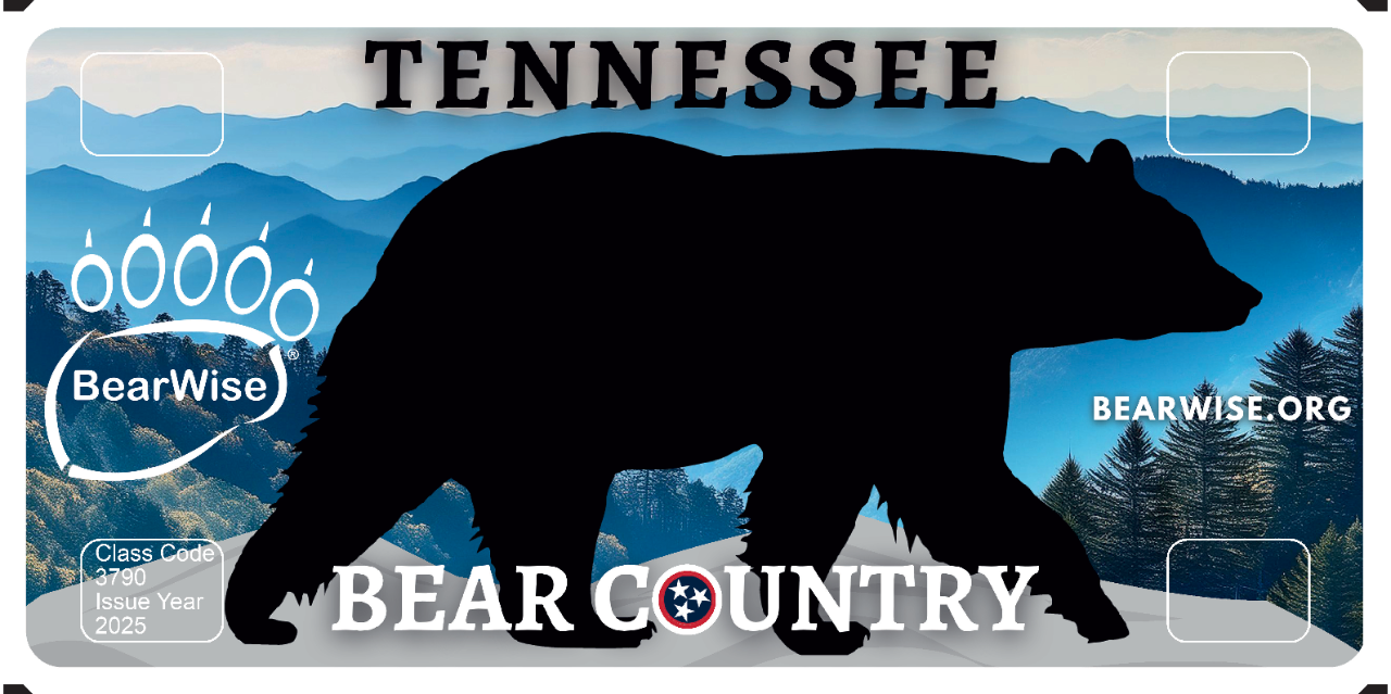 Fish & Wildlife Species - Bear Fish & Wildlife Species - Bear