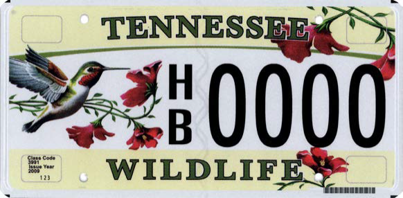 Tennessee Wildlife Federation - Hummingbird Tennessee Wildlife Federation - Hummingbird