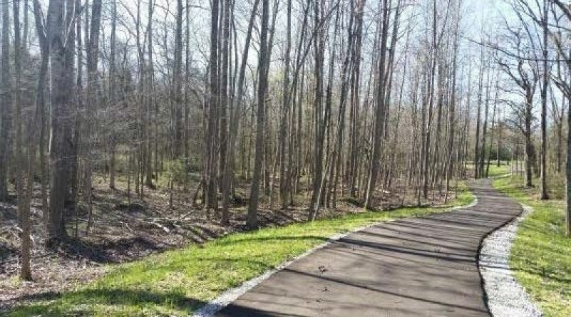 Parker's Crossroads Battlefield Trail Project A paved walking path curves through a wooded area with trees and grassy edges.