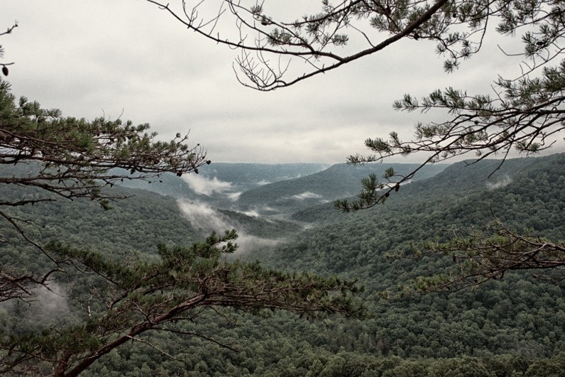 South Cumberland's Tourism Initiative Mist drifts through a forested mountain valley, with rolling hills framed by tree branches.