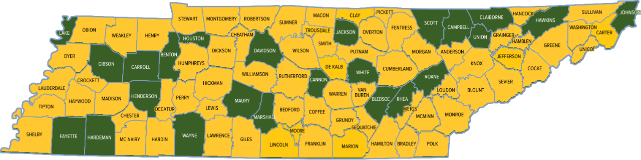 287(g) Program Map 287(g) Program Map