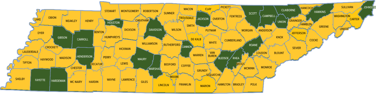 287(g) Program Map