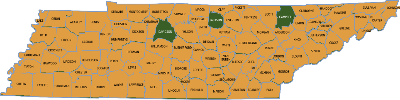 287(g) Program Map 287(g) Program Map