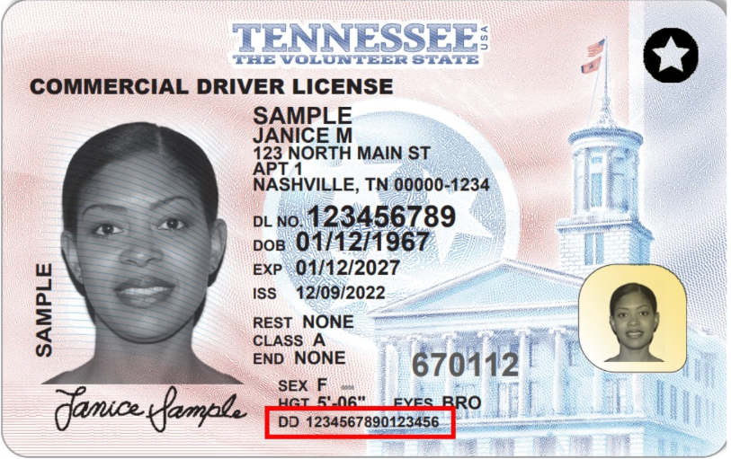 Sample ID DD Number