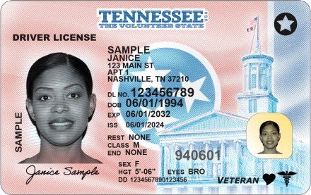 TN_D200_PR_Adult_CLASS-M_DL