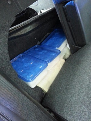 11 Pounds of Crystal Methamphetamine/Ice