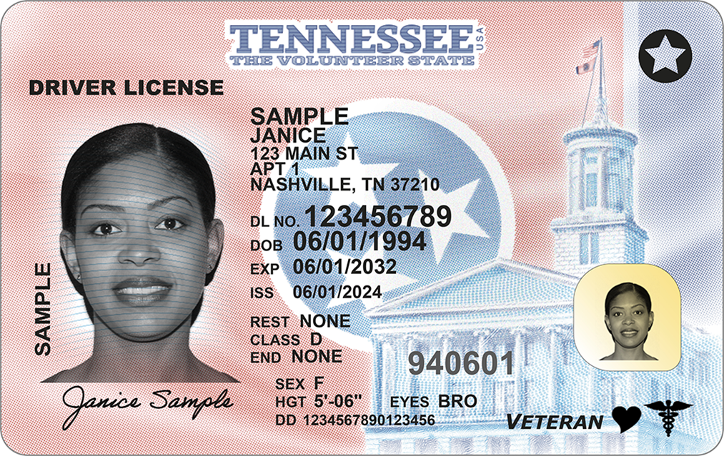 REGULAR_LICENSE REGULAR_LICENSE