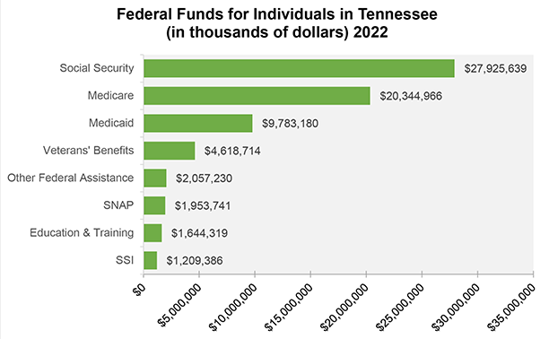 Federal Funds for Individuals in Tennessee 2022
