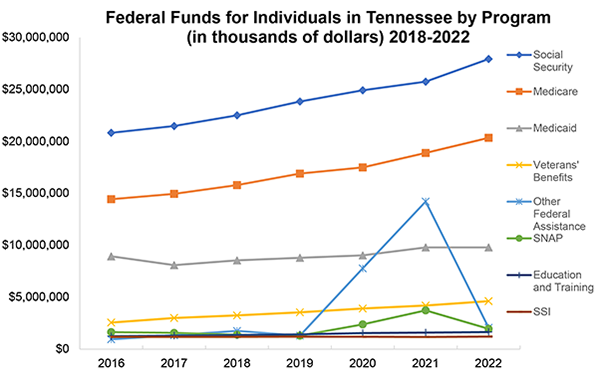 Federal Funds for Individuals in Tennessee by Program 2022