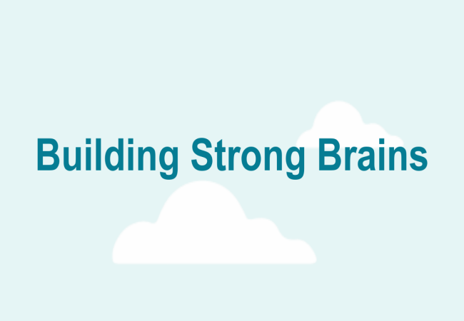 Building Strong Brains