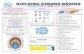 ACE-DASHBOARD032017-Web
